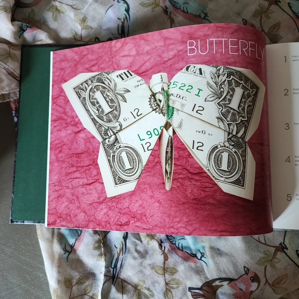 Extreme Origami Book NEW by Won Park Illustrations with Instructions